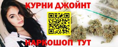 дживик Можга
