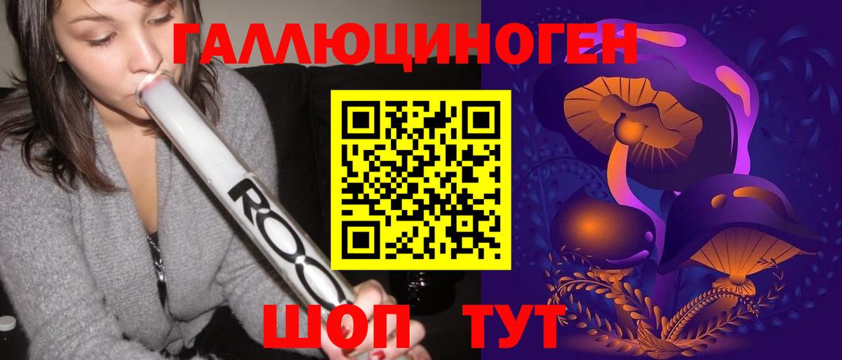 Галлюциногенные грибы Psilocybine cubensis Новотроицк