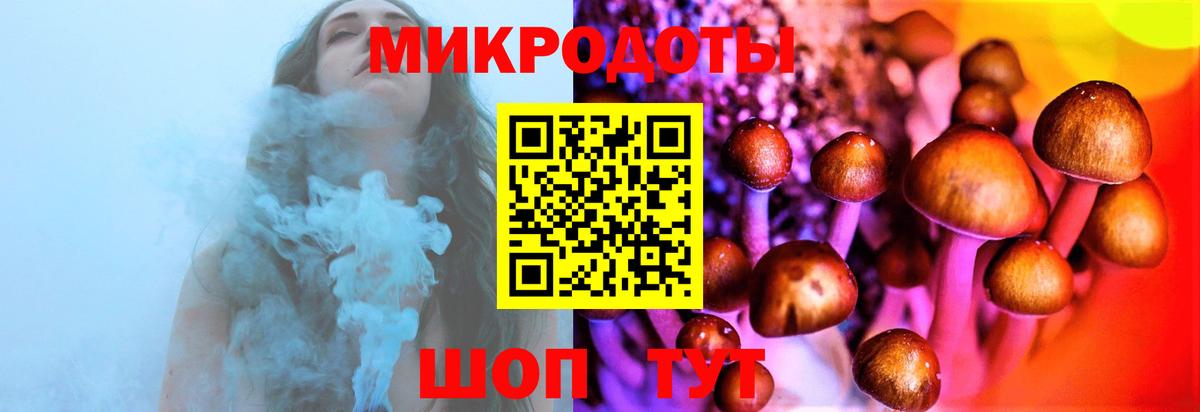 Псилоцибиновые грибы мухоморы  что такое   Новотроицк  Вход с VPN 